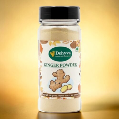 Ginger Dried Root Powder (100 Grams) | NON-GMO | No Added Preservatives | Sukku Podi | Dry Sonth/Adrak Powder for Cooking and Health